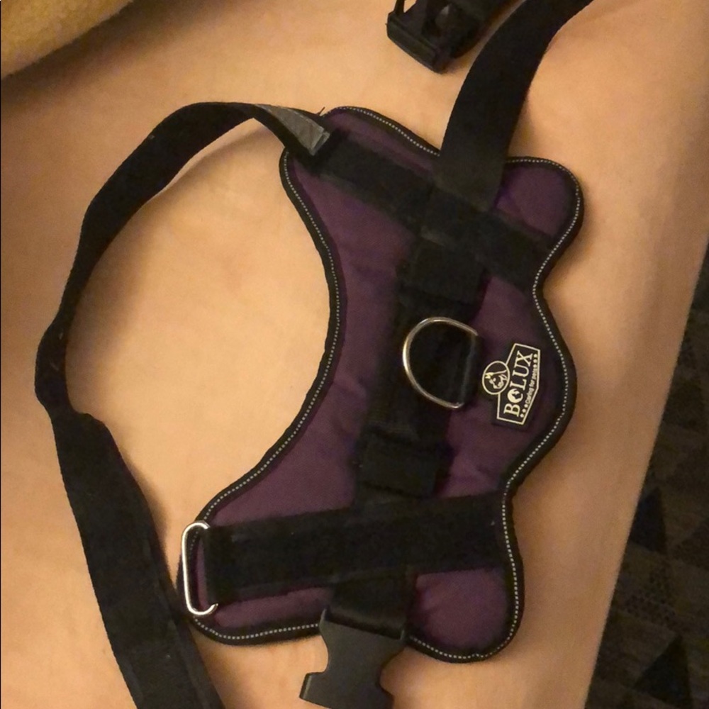 Bolux dog harness - Picture 4 of 4